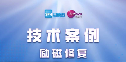 技術(shù)案例：勵磁修復(fù)